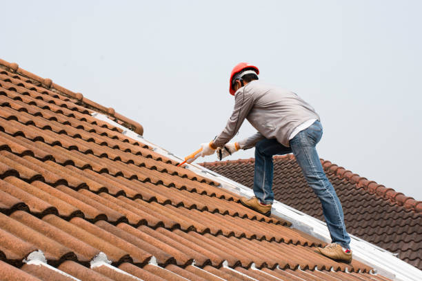Best Sheet Metal Roofing  in Lebanon, IN